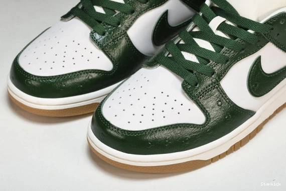 FJ2260-002 Low Dunk Nike Green Gorge 0104